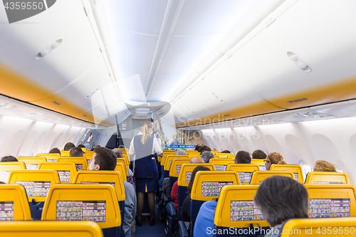 Image of Stewardess serving passangers on Ryanair airplane flight on 14th of December, 2017 on a flight from Trieste to Valencia.