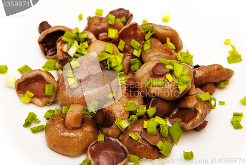 Image of mushrooms with spices on white