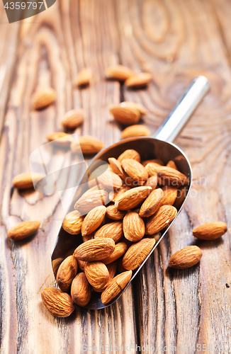 Image of almond