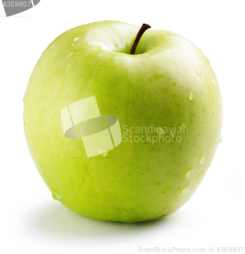 Image of wet green apple