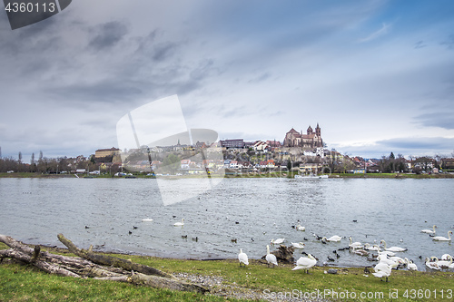 Image of Breisach and the river Rhine in Germany