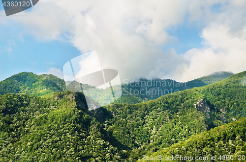 Image of Carpathian Mountains