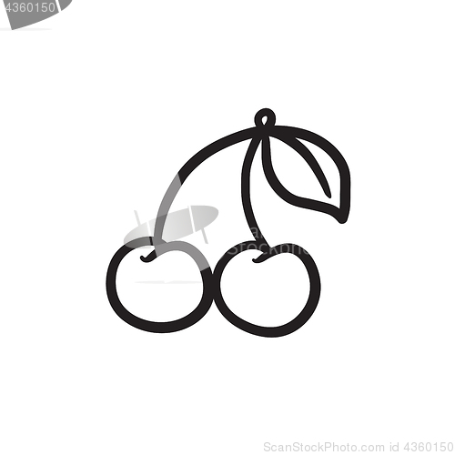 Image of Cherry sketch icon.