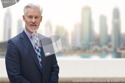 Image of Senior businessman in front of the big city