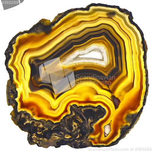 Image of Agate Crystal cross section isolated on white background