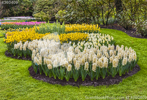 Image of Flowers Garden