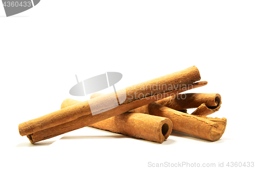 Image of Long cinnamon on a white background with soft shadow