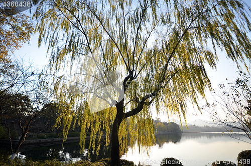 Image of Landscape of West lake in Hangzhou, China