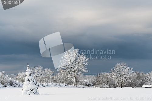 Image of Winter landscape with dark sky