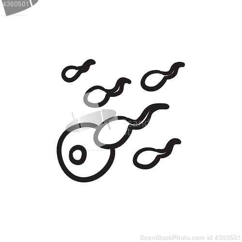 Image of Fertilization sketch icon.