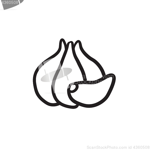 Image of Garlic sketch icon.