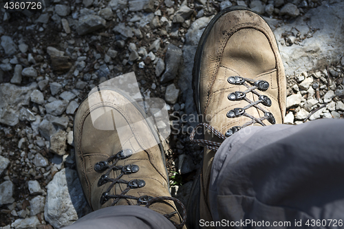 Image of Brown hiking shoes