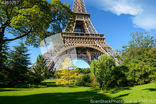 Image of Trees in park of Paris