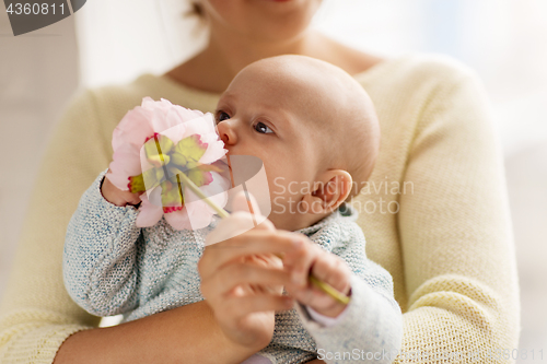 Image of close up of mother and little baby boy with flower