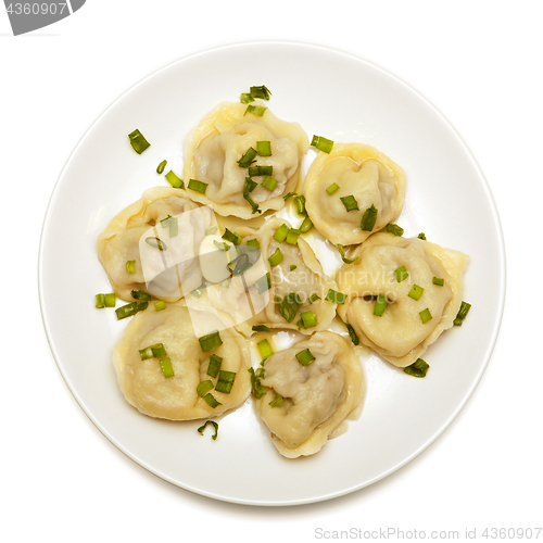 Image of ravioli on a white plate