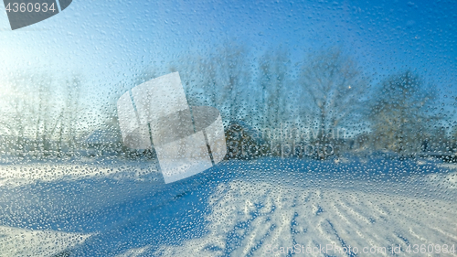 Image of Picture of water drops on car window