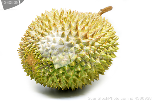 Image of Durian fruit isolated on white background