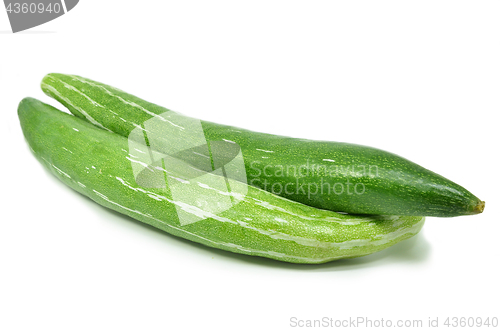 Image of Snake gourd isolated