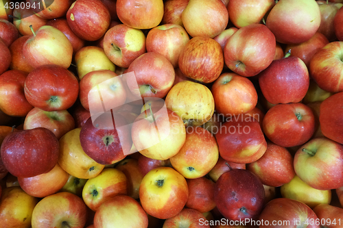 Image of Red apples on sale