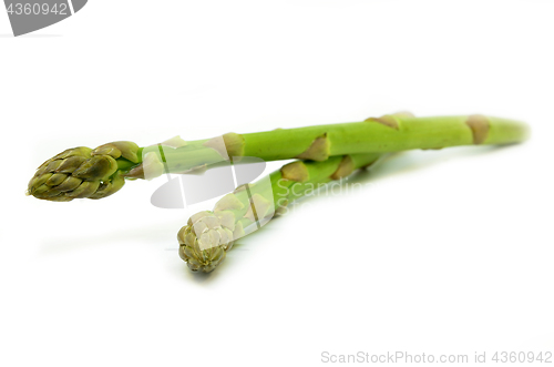 Image of Delicious isolated asparagus