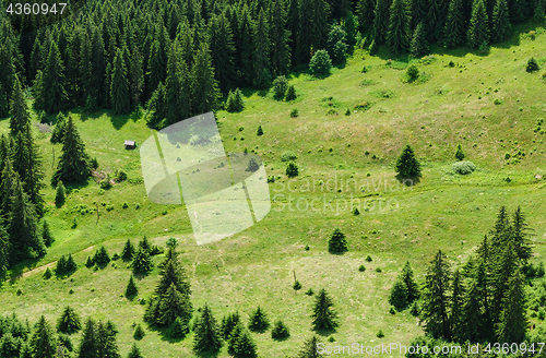 Image of mountain forest and meadow summer landscape