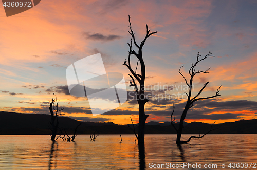 Image of Sunset Outback NSW Australia