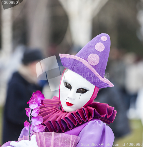 Image of Disguised Person - Annecy Venetian Carnival 2013