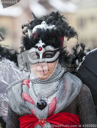 Image of Disguised Person - Annecy Venetian Carnival 2013