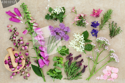 Image of Herbal Medicine with Herbs and Flowers