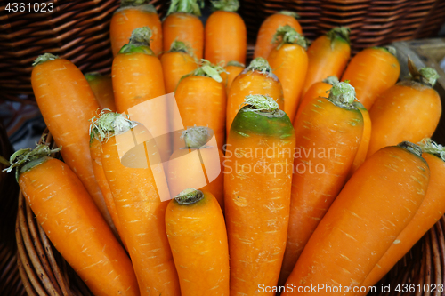 Image of Carrot pictures in the fruit basket