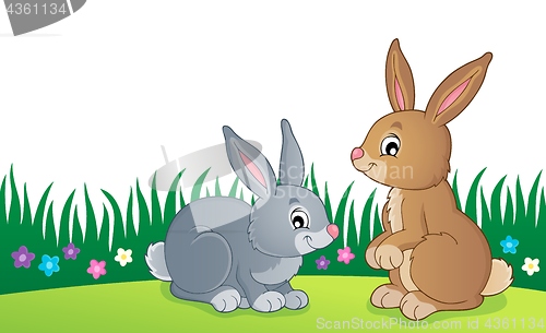 Image of Rabbit topic image 6