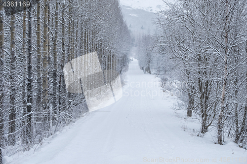 Image of winter road