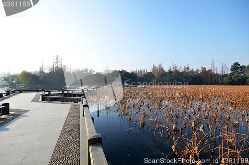 Image of Winter on West Lake, Hangzhou.