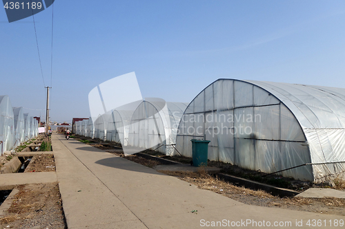 Image of Large greenhouse for plants in the autumn 