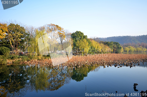 Image of Landscape of West lake in Hangzhou, China