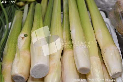 Image of Fresh water bamboo shoot sold 