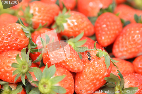 Image of Fresh and red strawberries