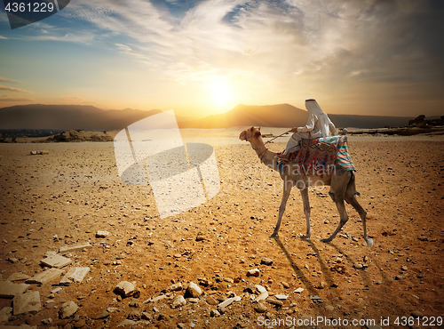 Image of Journey in desert