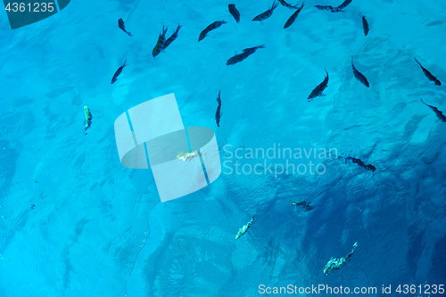 Image of Background red sea