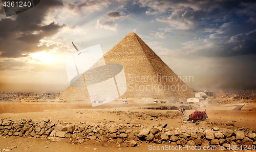 Image of Big bird over pyramids