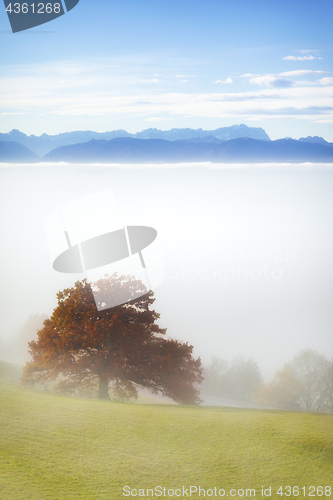 Image of landscape covered in fog with the alps in the background