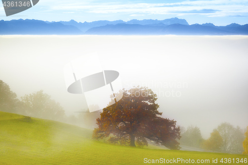 Image of landscape covered in fog with the alps in the background