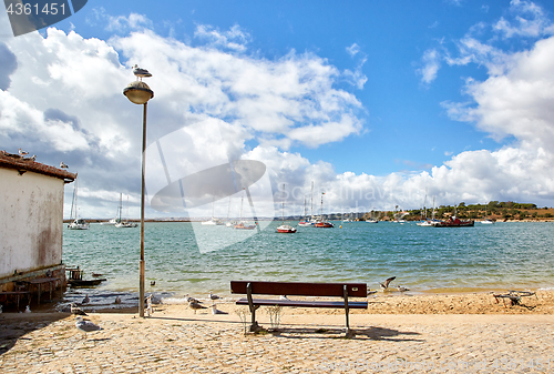 Image of wooden bench and seagulls