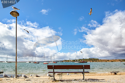 Image of wooden bench and seagulls