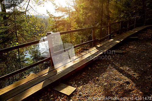 Image of Wooden pathway in mountain park