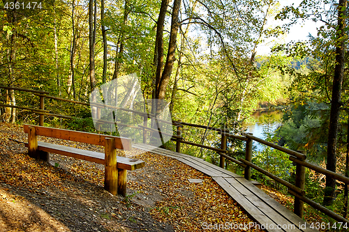 Image of wooden bench in mountain park