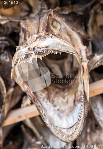 Image of dried fish