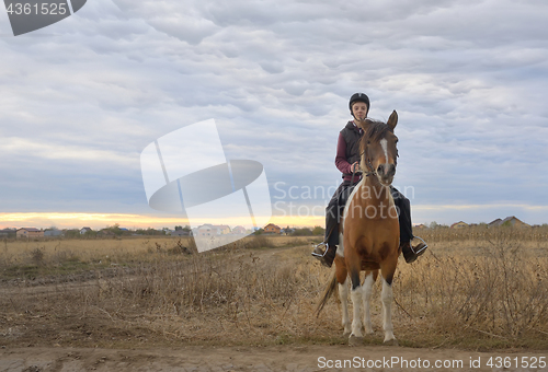 Image of Happy teenager boy with horse