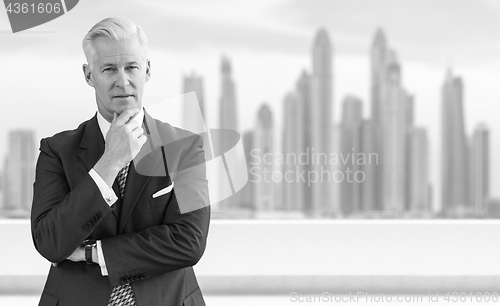 Image of Senior businessman in front of the big city