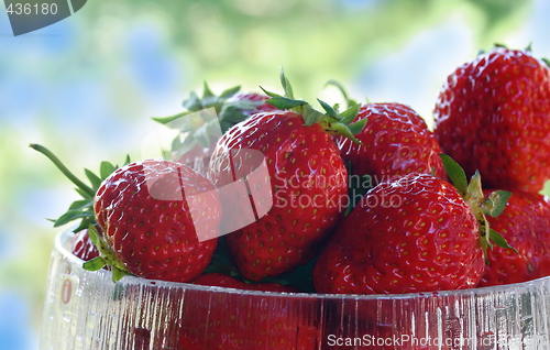 Image of STRAWBERRY - taste of summer